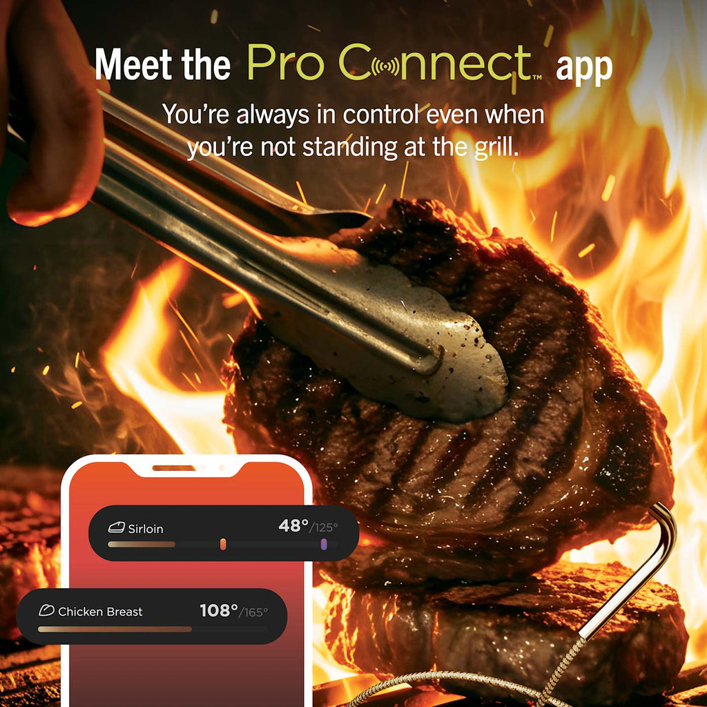 Ninja™ FlexFlame™ Grill and Smoker with ProConnect™