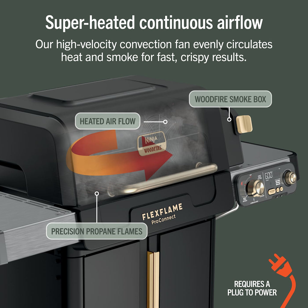 Ninja™ FlexFlame™ Grill and Smoker with ProConnect™
