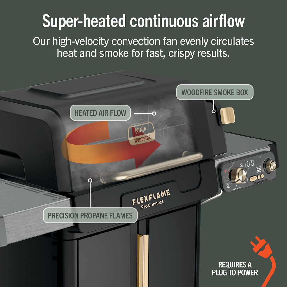 Ninja™ FlexFlame™ Grill and Smoker with ProConnect™