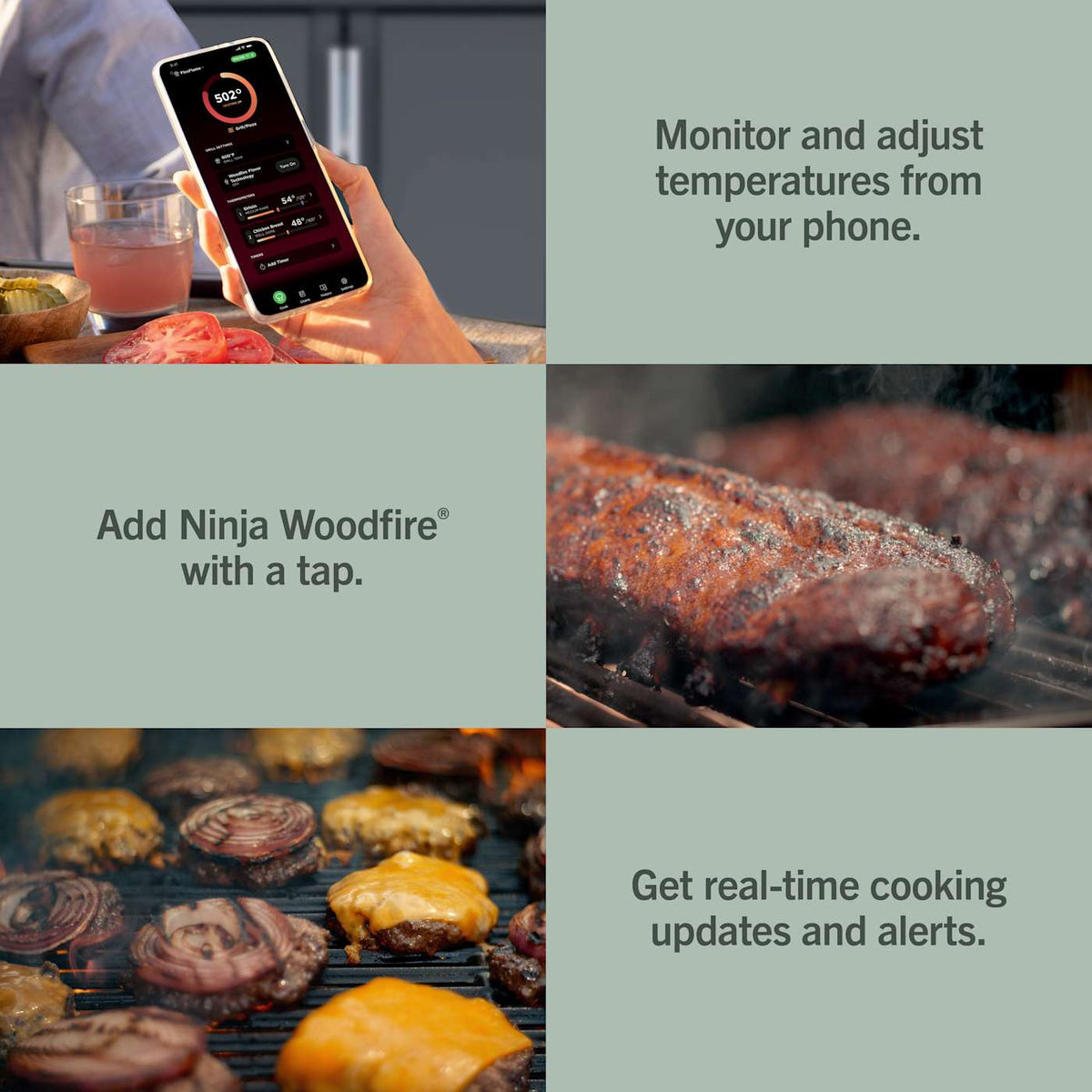 Ninja™ FlexFlame™ Grill and Smoker with ProConnect™