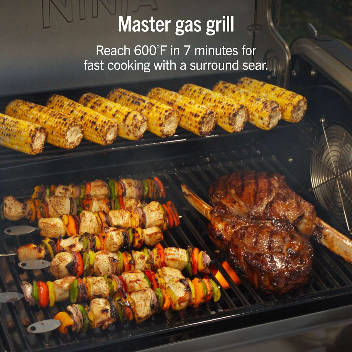 Ninja™ FlexFlame™ Grill and Smoker with ProConnect™