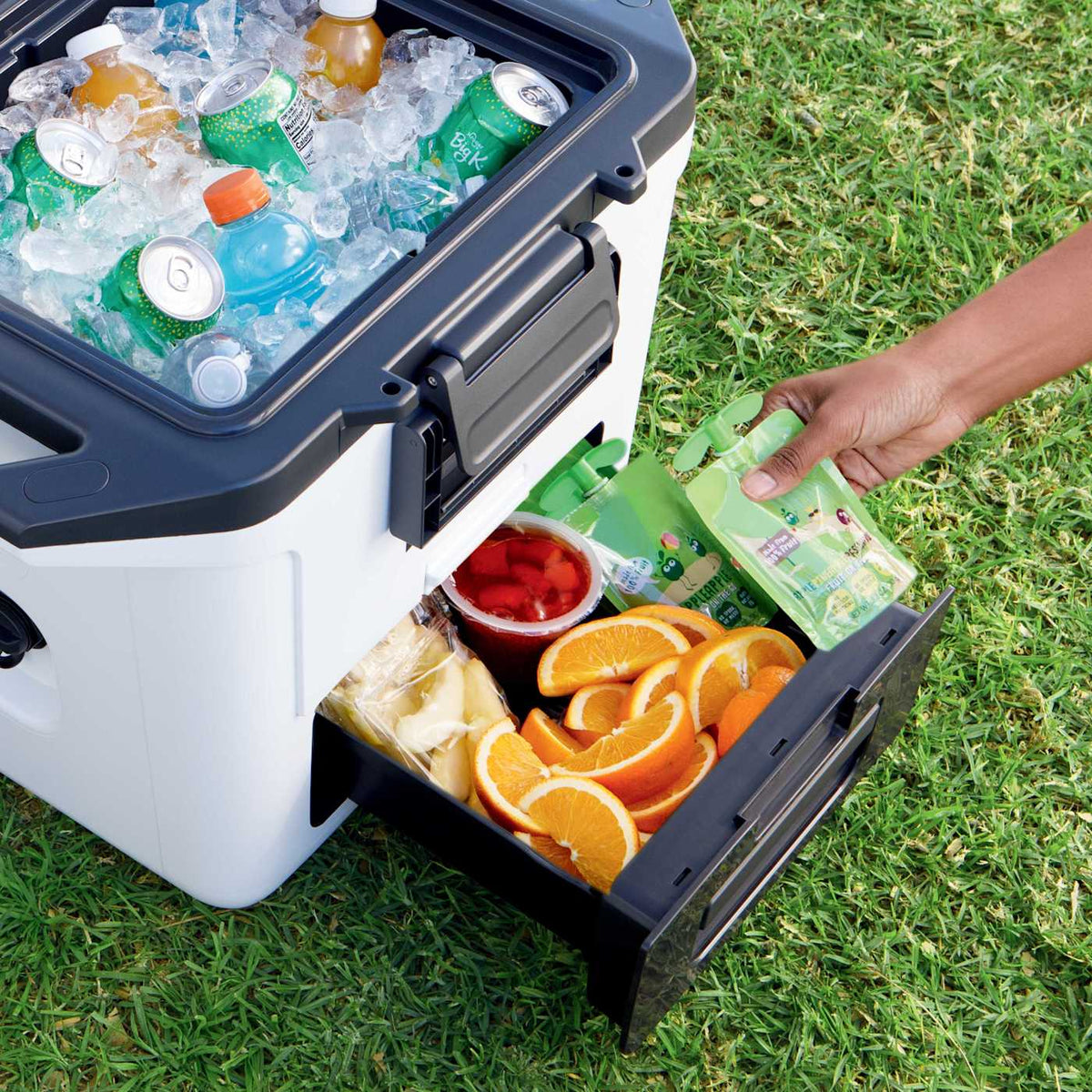 Ninja FrostVault™ 30qt Hard Cooler with Dry Zone, Lakeshore Blue