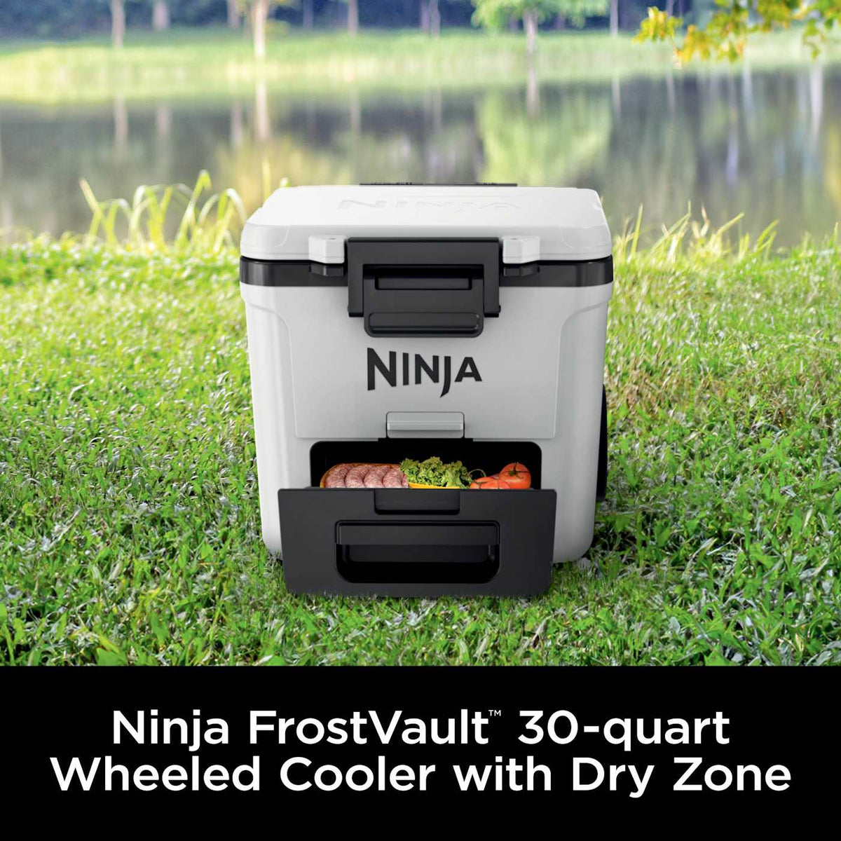 Ninja FrostVault™ 30qt Wheeled Cooler with Dry Zone, Lakeshore Blue