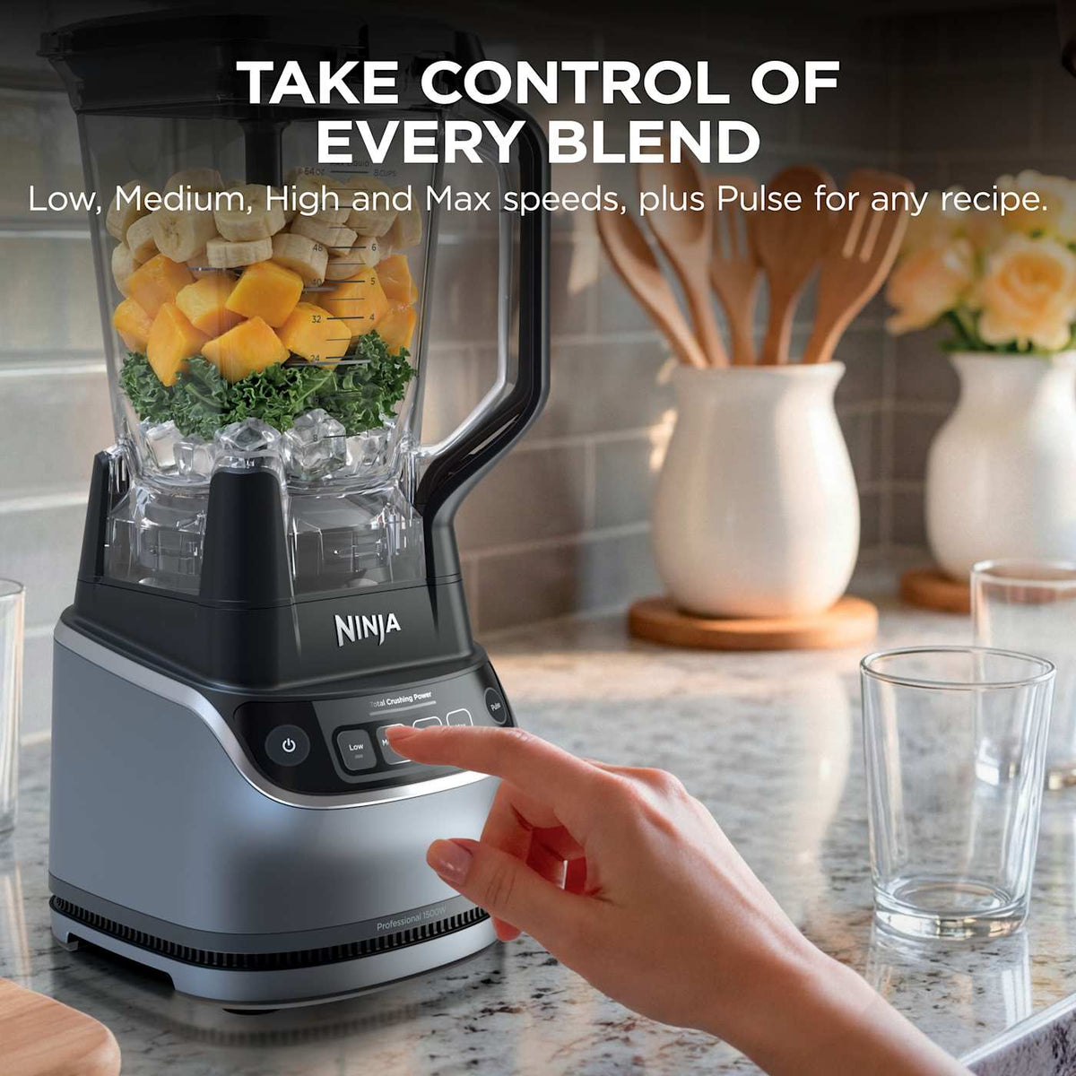 Ninja UltraCrush™ Professional Kitchen System
