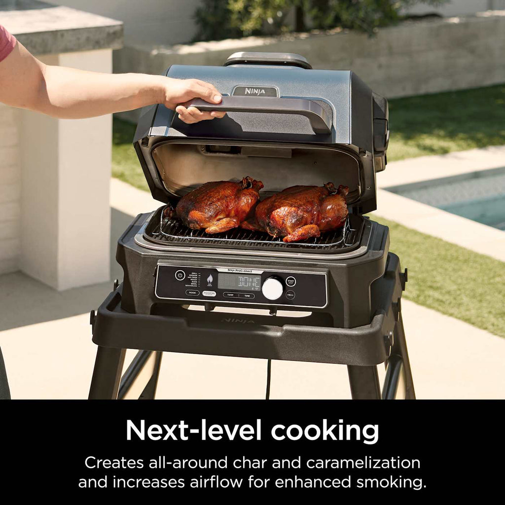 Ninja Woodfire™ Roast & Smoke Rack