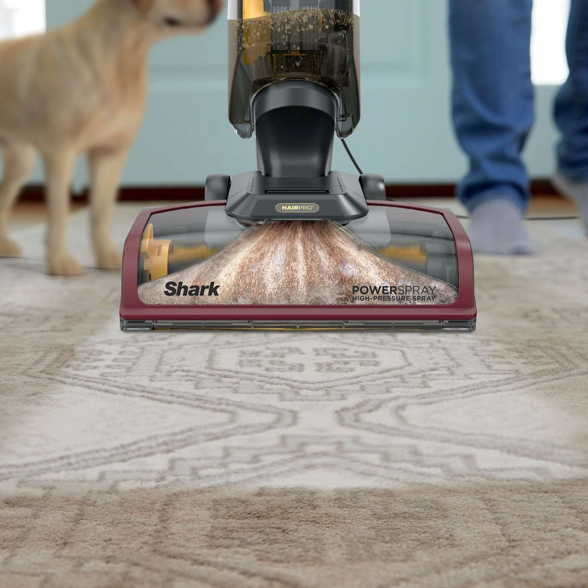 Shark CarpetXpert™ HairPro