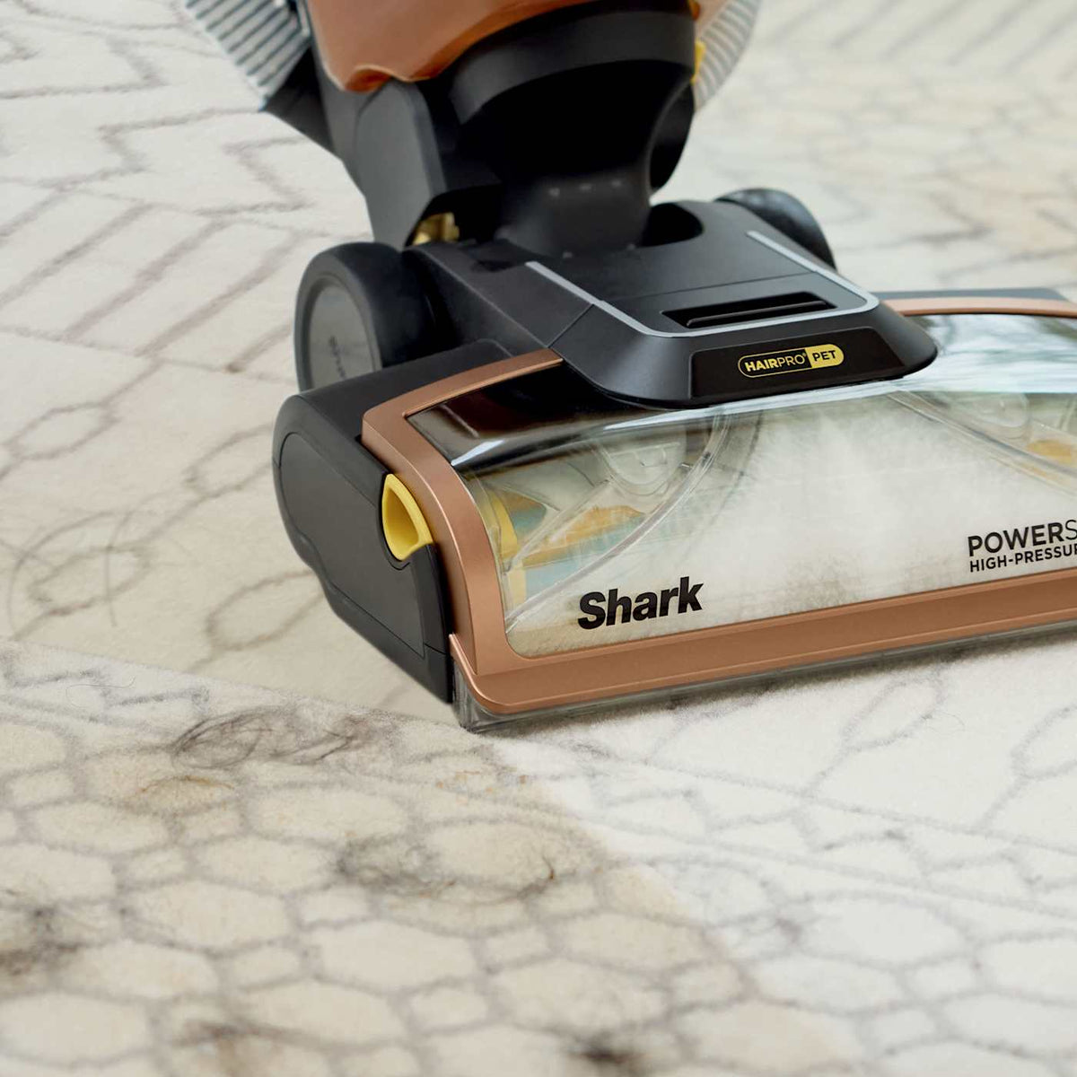 Shark® CarpetXpert™ HairPro® Pet with StainStriker™