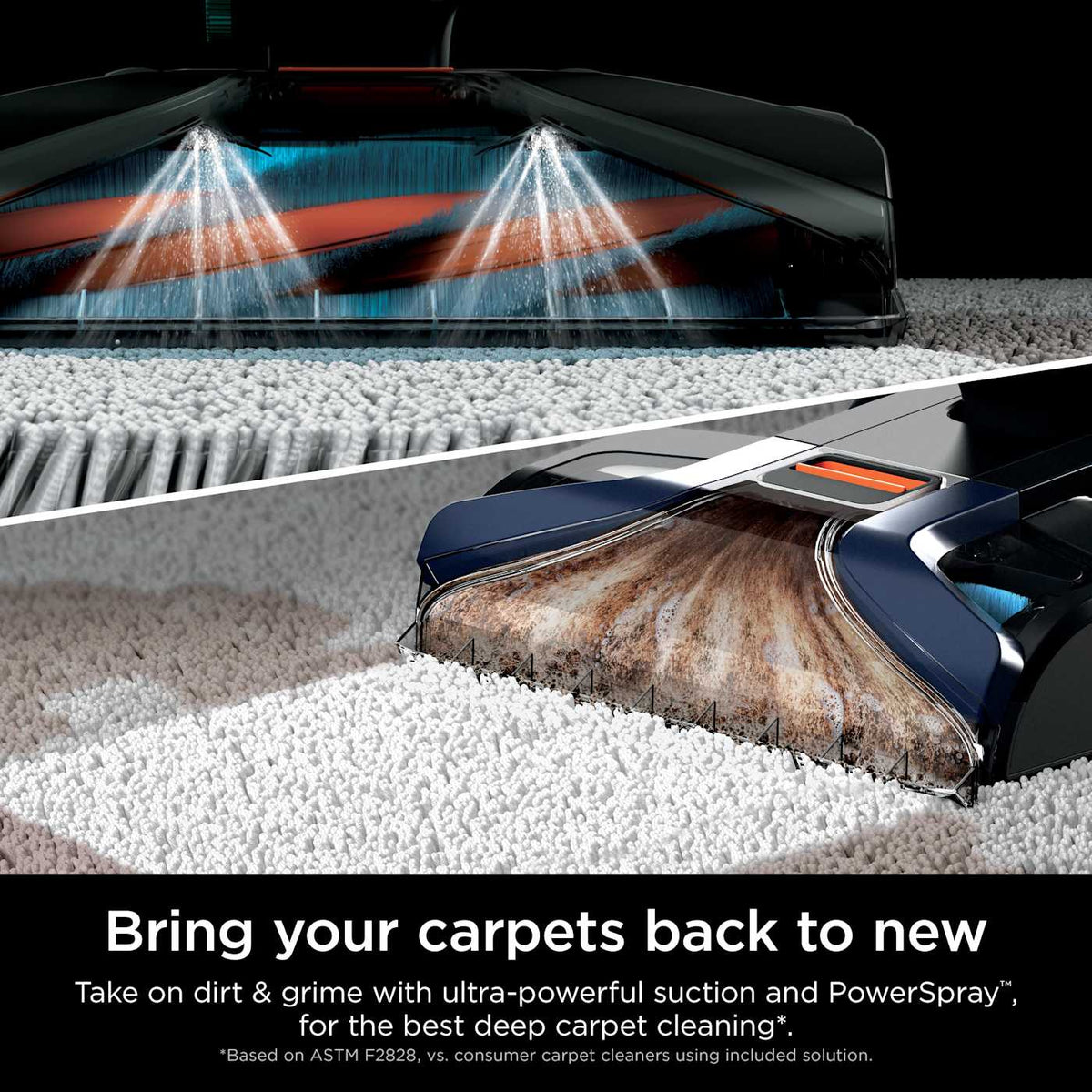 Shark CarpetXpert™ with StainStriker™