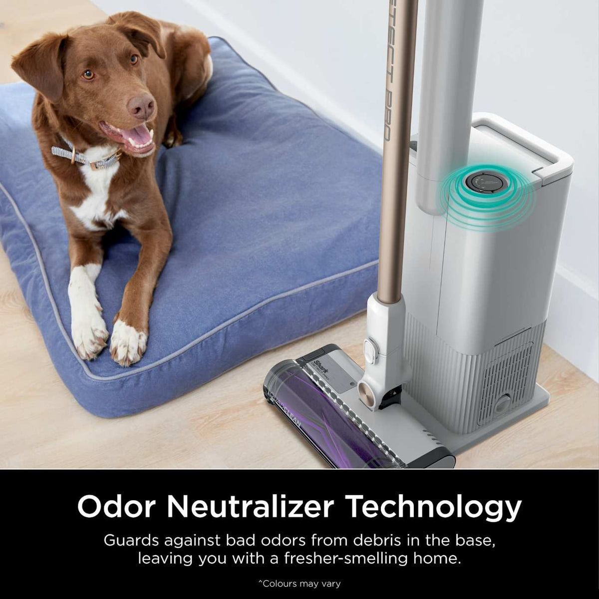 Shark Detect Pro™ Cordless Vacuum