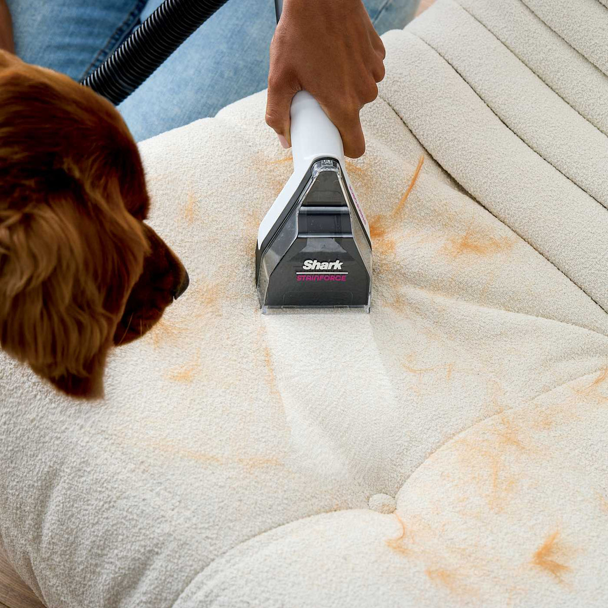 Shark® EveryMess™ Corded Portable Wet & Dry Vac and Stain Remover, Light Blue