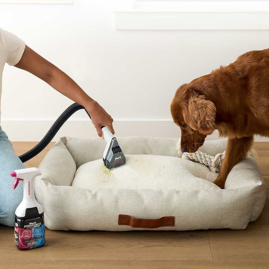 Shark® EveryMess™ Corded Portable Wet & Dry Vac and Stain Remover, Light Blue