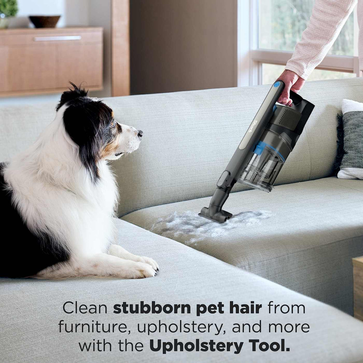 Shark PowerPro™ Reveal Plus Cordless Vacuum