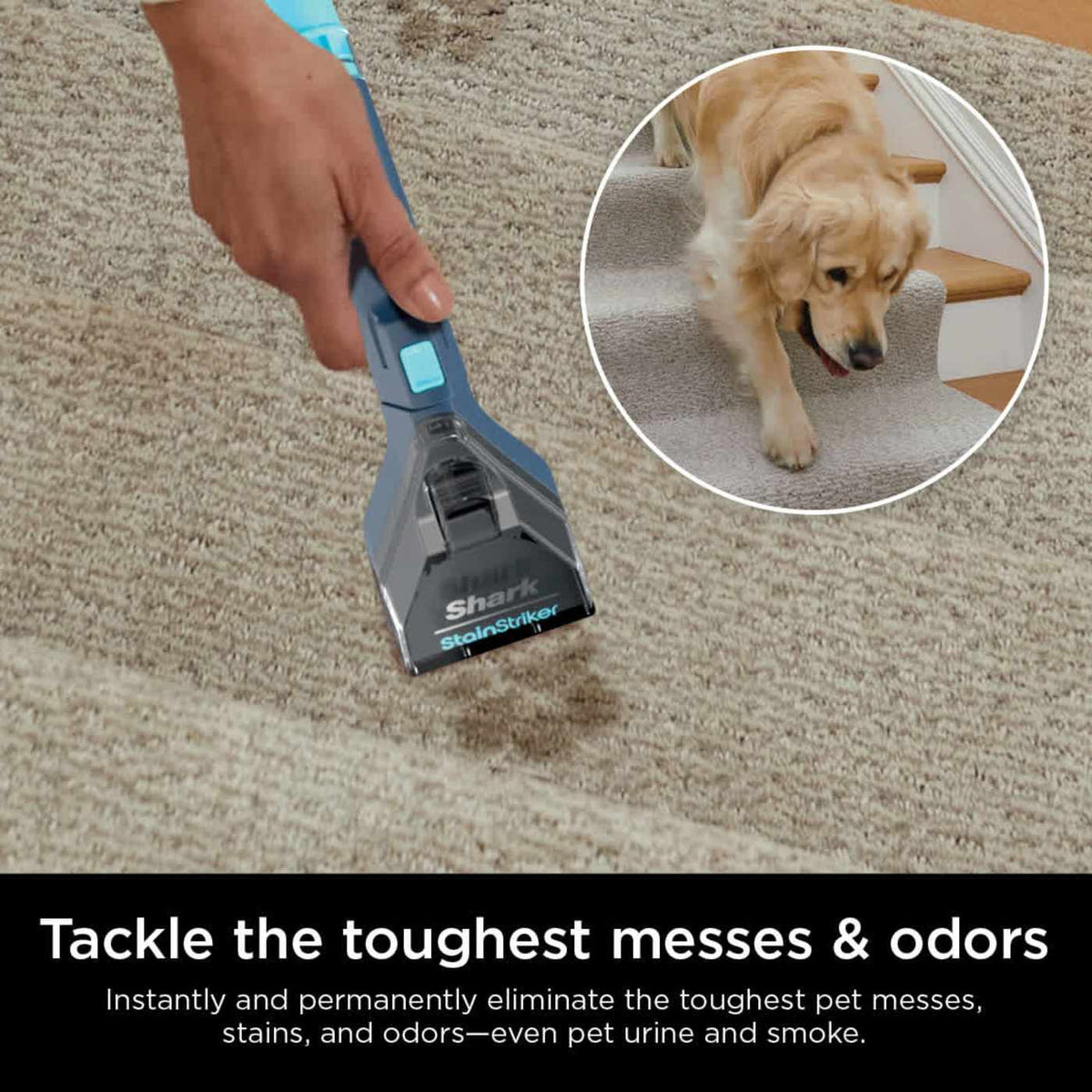 Shark® StainStriker Portable Carpet & Upholstery Cleaner